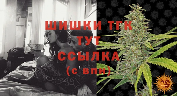 соль ск Надым