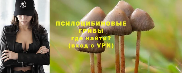 ПСИЛОЦИБИНОВЫЕ ГРИБЫ Навашино