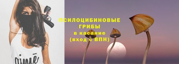 сатива Михайловск